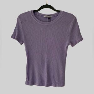 Michael Stars Cora Cropped Baby Tee